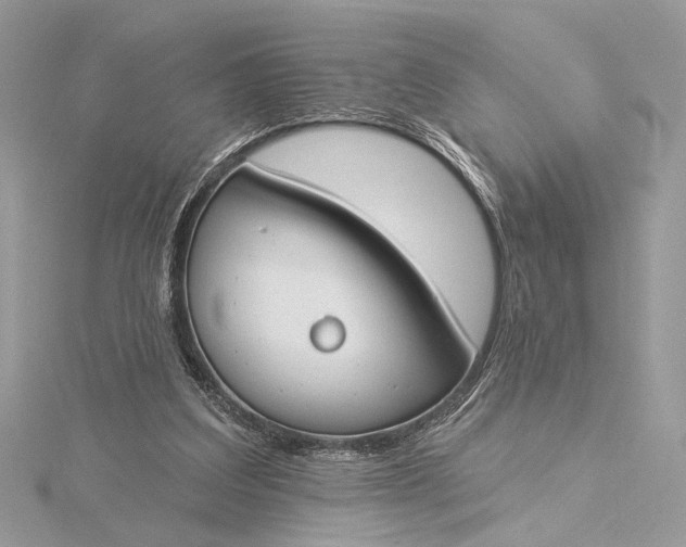 X0000115830203200912041655