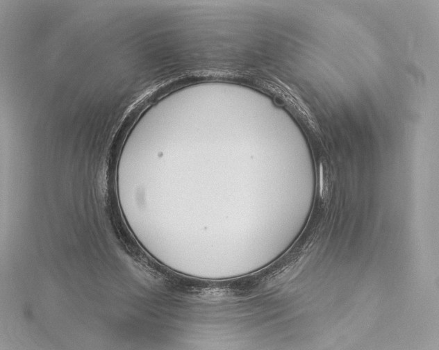 X0000115830204200912041655