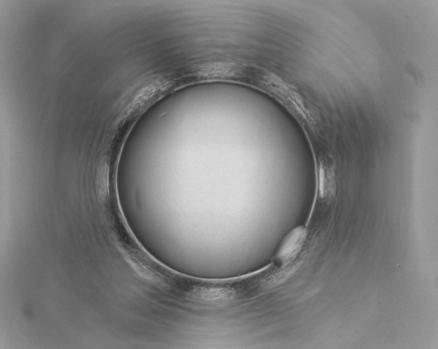 X0000115830205200912041655