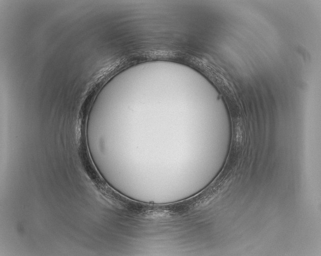 X0000115830206200912041655