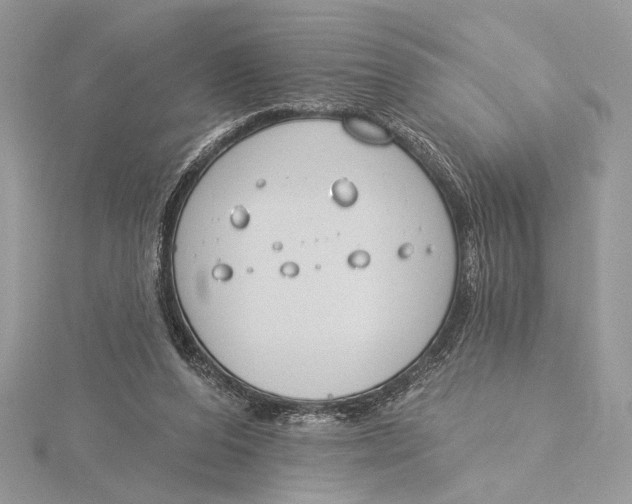 X0000115830208200912041655