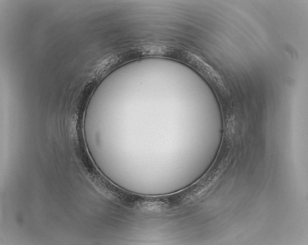 X0000115830209200912041655