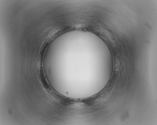 X0000115830210200912041654