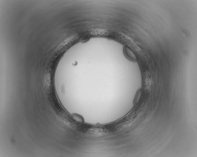 X0000115830211200912041654