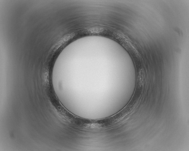 X0000115830212200912041654