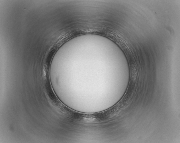 X0000115830214200912041654