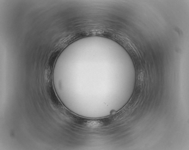 X0000115830218200912041654