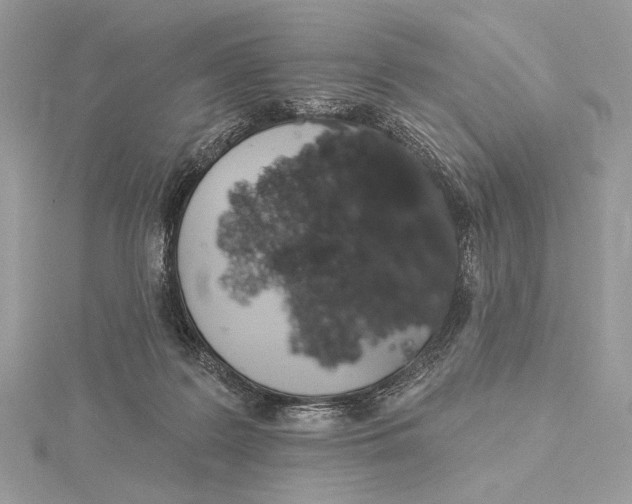 X0000115830219200912041654