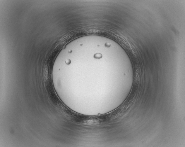 X0000115830220200912041654