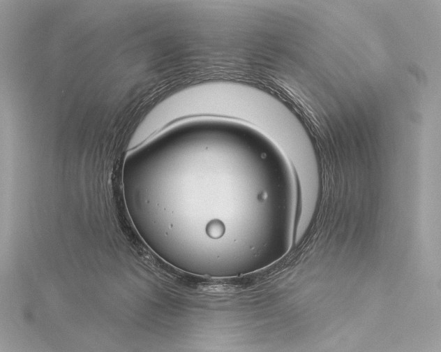 X0000115830221200912041654