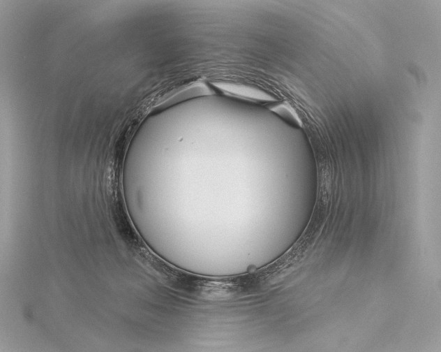 X0000115830222200912041654