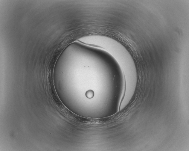 X0000115830225200912041654