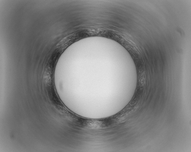 X0000115830226200912041654