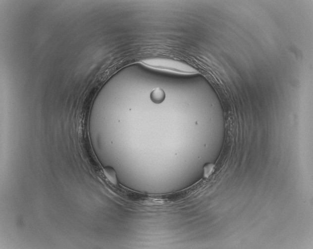 X0000115830227200912041654