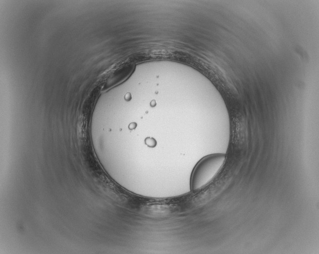 X0000115830228200912041654