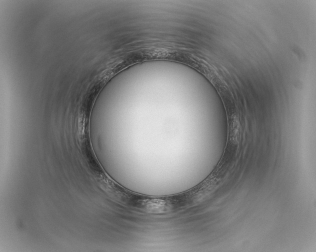 X0000115830230200912041654