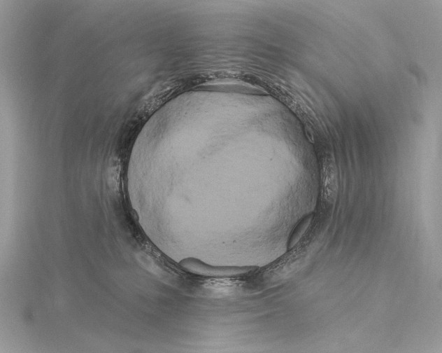 X0000115830231200912041654