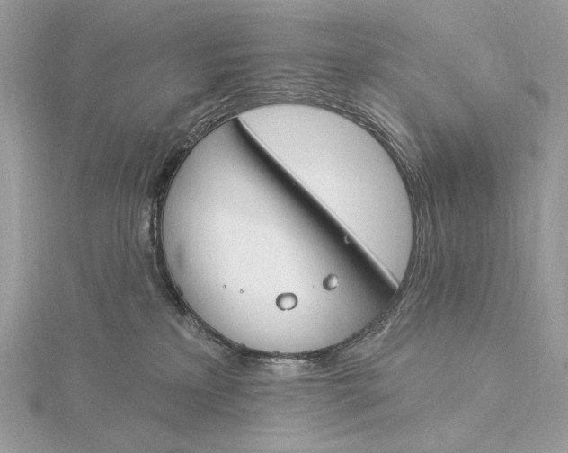 X0000115830233200912041654