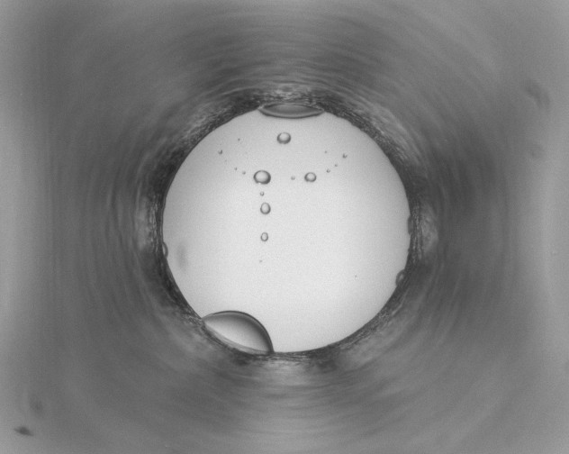 X0000115830236200912041654