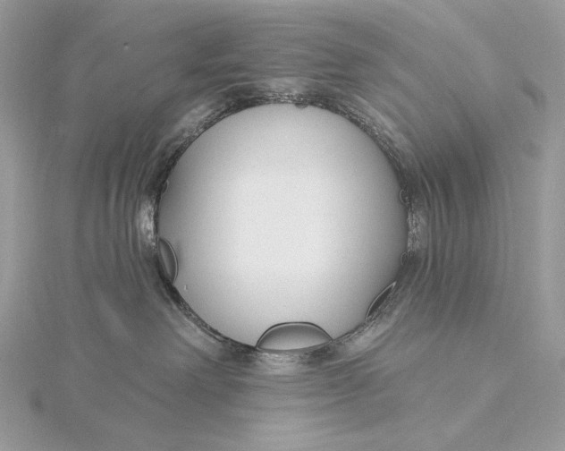 X0000115830238200912041654