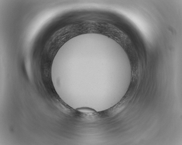 X0000115830239200912041654