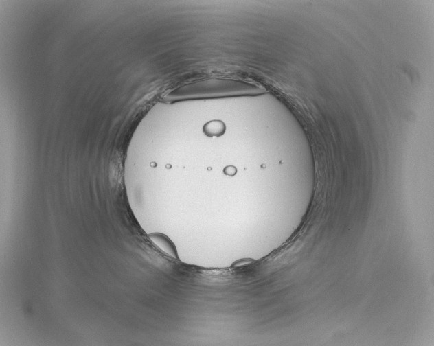 X0000115830240200912041654