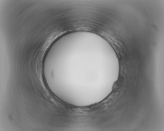 X0000115830241200912041653