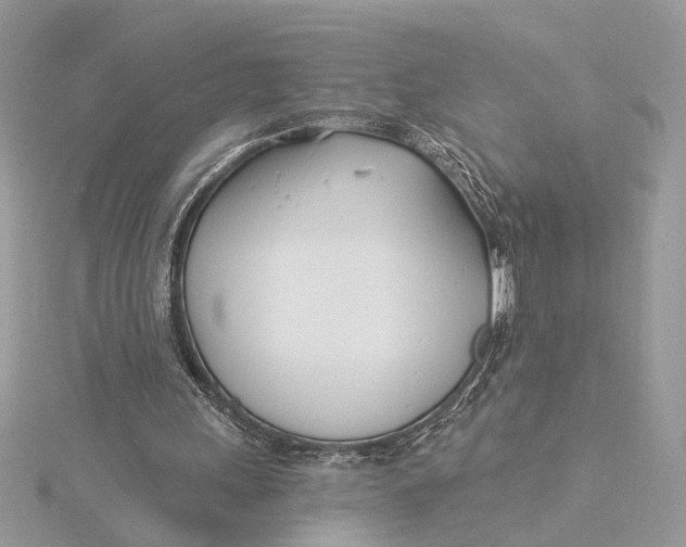 X0000115830243200912041654