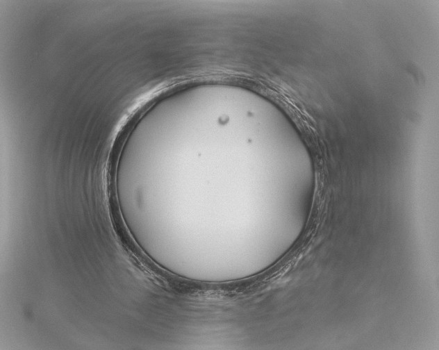 X0000115830244200912041654