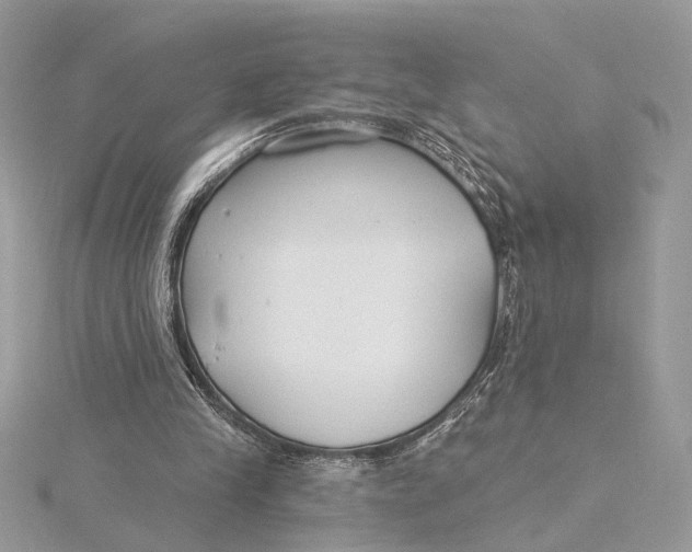 X0000115830245200912041654