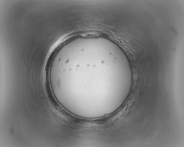 X0000115830246200912041654