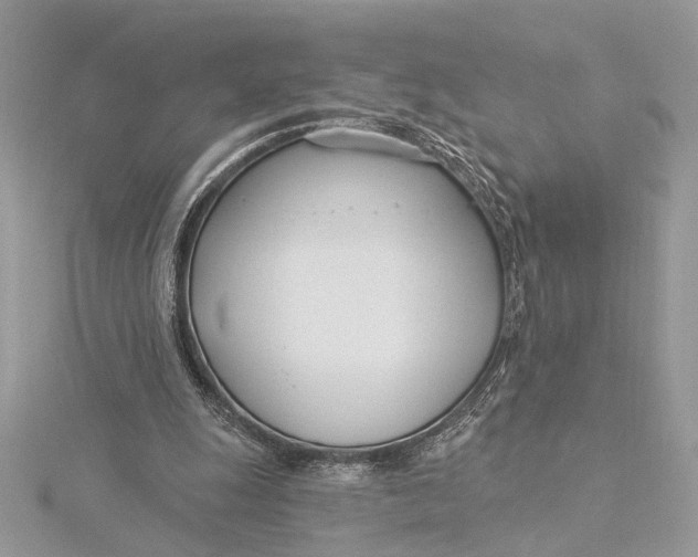 X0000115830247200912041654