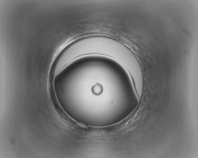 X0000115830248200912041654