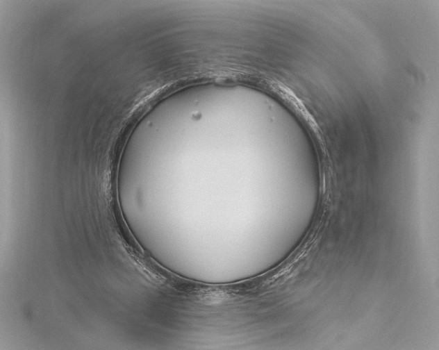 X0000115830249200912041654