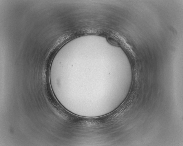 X0000115830250200912041654