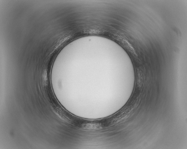 X0000115830251200912041654