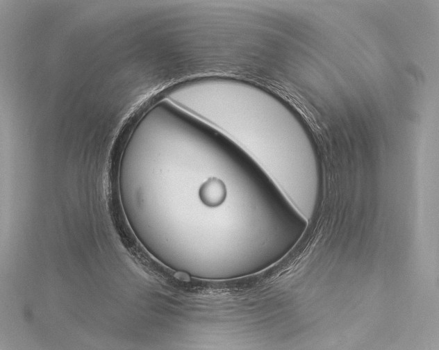 X0000115830252200912041654