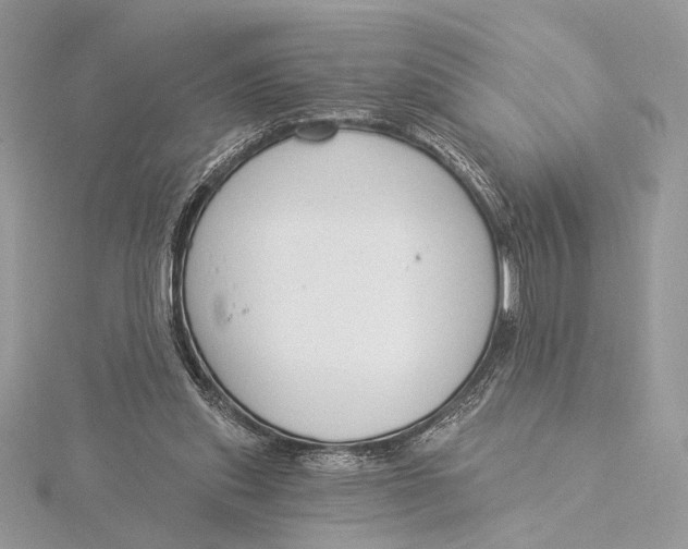 X0000115830253200912041654