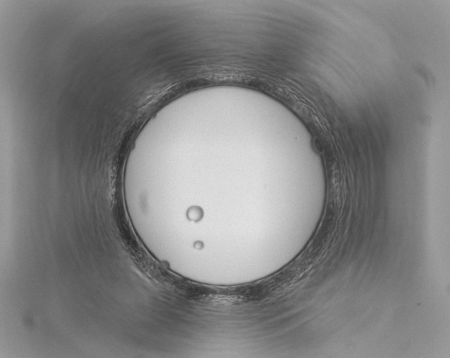 X0000115830255200912041654