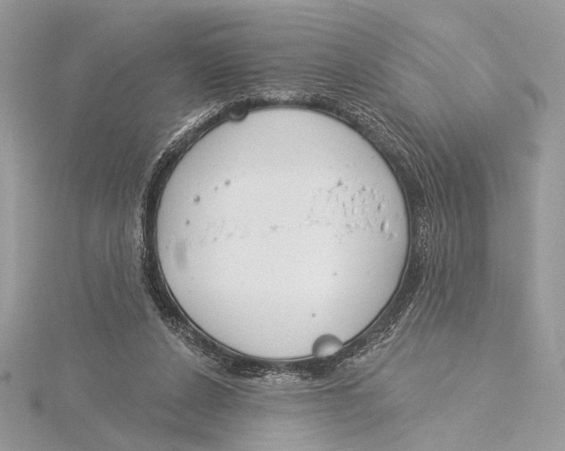 X0000115830256200912041654