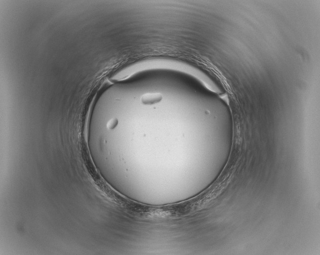 X0000115830257200912041654