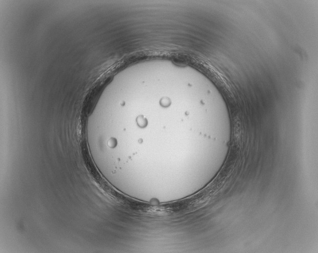 X0000115830261200912041654