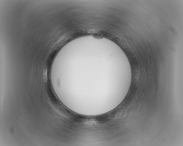 X0000115830262200912041654