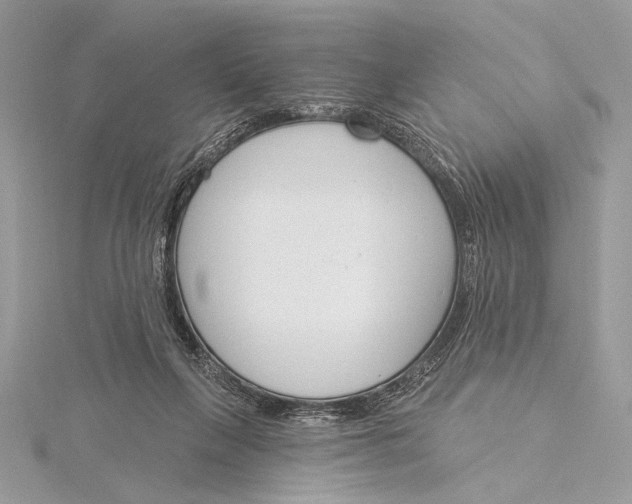 X0000115830263200912041654