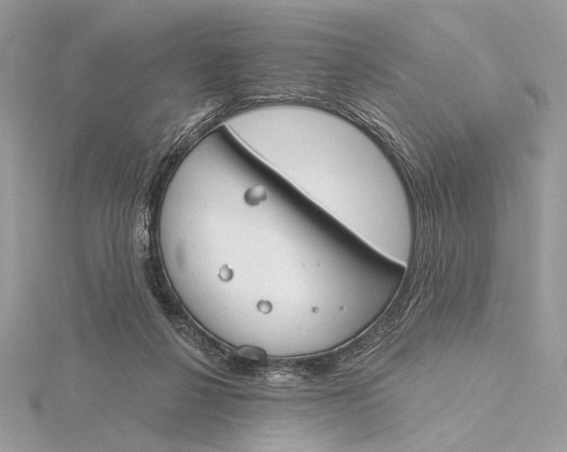 X0000115830264200912041654