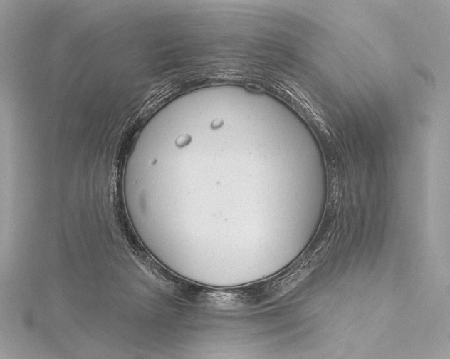 X0000115830265200912041654