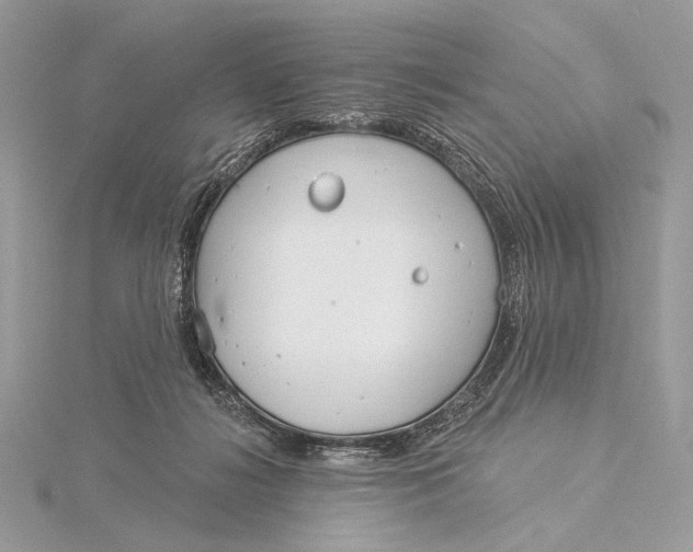 X0000115830268200912041654