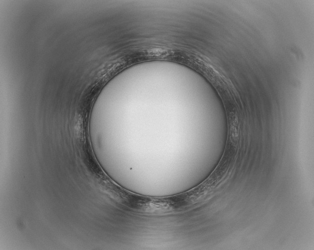 X0000115830270200912041654