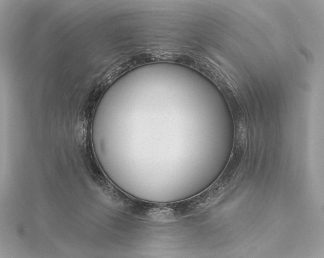 X0000115830271200912041654