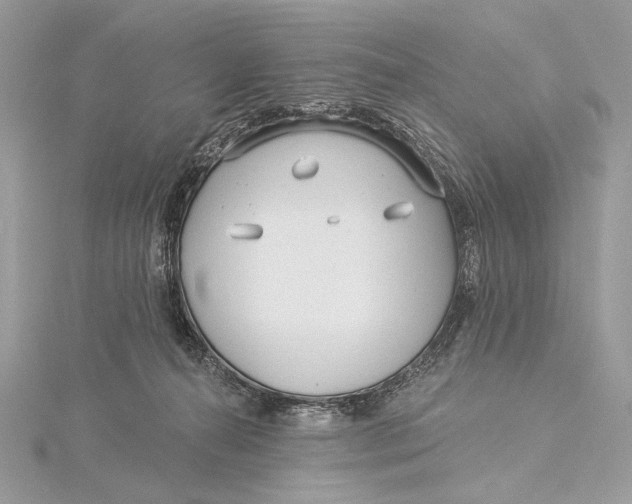 X0000115830272200912041654